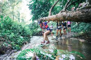 BIB: 
                            <button type="button" onclick="openModal(25447865)" class="btn btn-primary btn-sm float-right btn-popup" data-toggle="modal" data-target=".modal-high-quality">
                        <i class="fas fa-shopping-cart"></i> Add to Cart
                    </button>
                                            <button type="button" onclick="isThisMe(25447865, true)" class="btn btn-success btn-sm float-right btn-popup btn-isme hidden" data-toggle="tooltip" data-placement="bottom" title="นี่คือรูปของคุณใช่ไหม คลิกที่นี่เพื่อเอาเข้าอัลบั้ม">
                        <i class="fas fa-plus"></i> Add to album
                    </button>
                    <button type="button" onclick="isThisMe(25447865, false)" class="btn btn-warning btn-sm float-right btn-popup btn-isnotme hidden">
                        <i class="fas fa-ban"></i> Remove from album
                    </button>